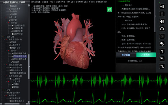 胸、腹部检查智能模拟训练系统