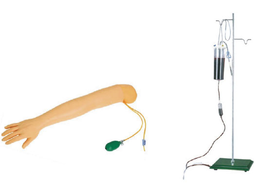 高级手臂动脉穿刺及肌肉注射训练模型