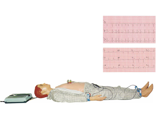 多种心电图电脑模拟人